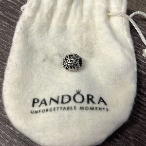 Pandora Charm